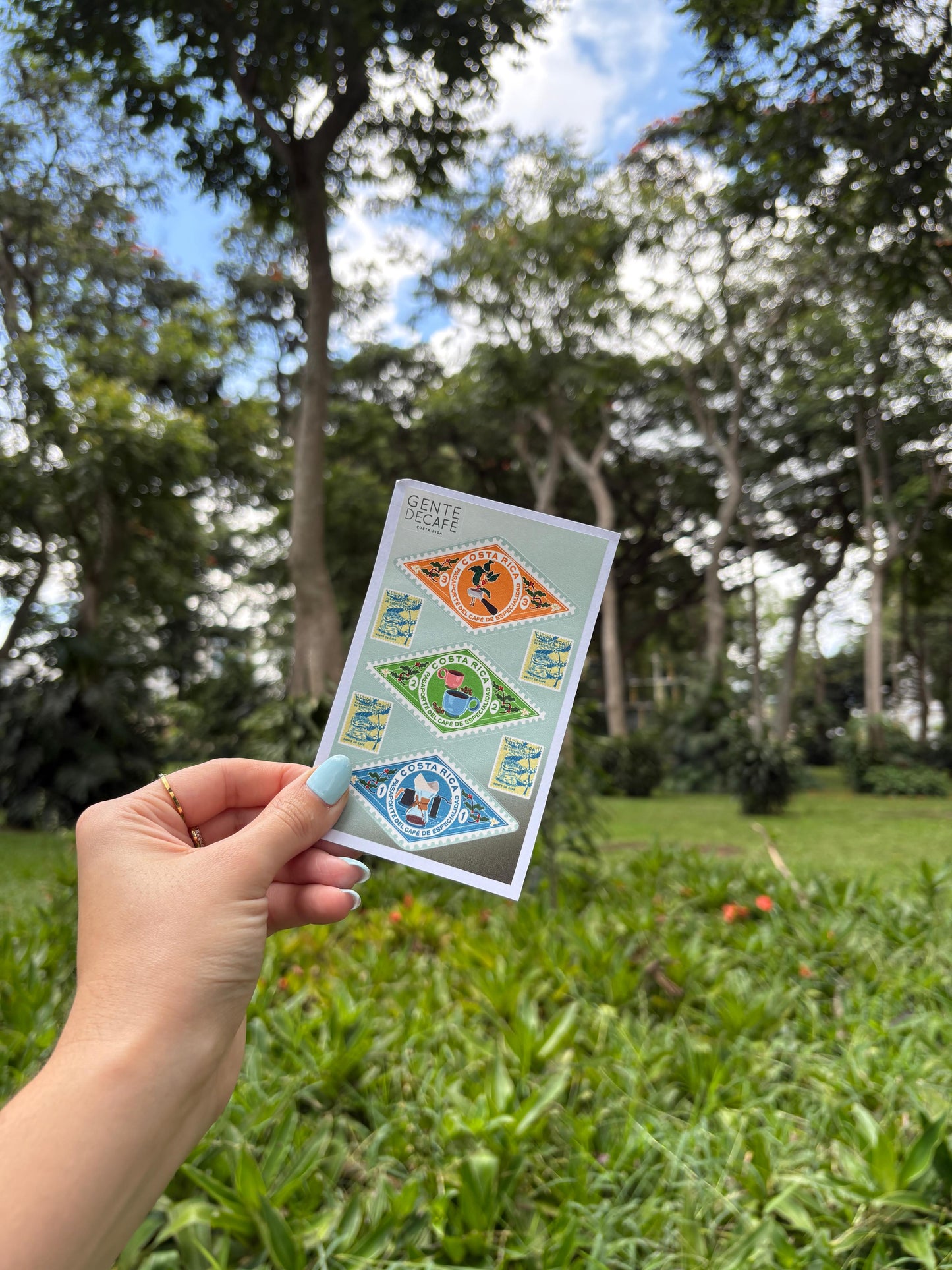 a.1 Stickers 2da Edición